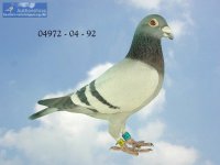 DV%204972%2004%200092%20Huyskens%20van%20Riel%20Ritz%20Soontjes%20Meulemans.jpg