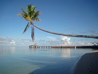 strand_indonesien_Wakatobi-Resort-Sulawesi.jpg