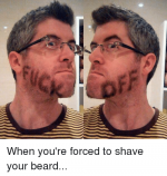 when-youre-forced-to-shave-your-beard-16701512.png