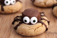 peanut-butter-spider-cookies-recipe.jpg