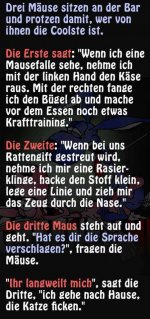 3 Mäuse.jpg