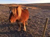 WhatsApp Image 2018-12-11 at 21.25.24.jpeg