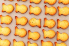 depositphotos_55107309-stock-photo-fish-cookies.jpg