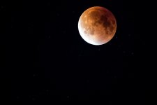 lunar-eclipse-962804_960_720.jpg