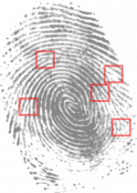 fingerprint-146242_960_720.png