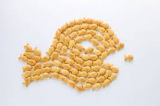 Fischis ganz viele.jpg