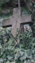 DSC08444.jpg