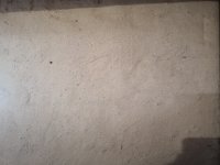 IMG_20190415_111506.jpg