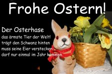 lustige-spruechebilder-frohe-ostern-witzig-osterhase-frech-900.jpg