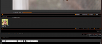 BILD des Tages   Seite 32   ngb.png