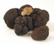 trüffel.jpg
