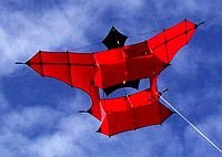 Cody Extended-Wing.JPG