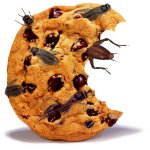 cricket-cookie.jpg