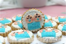 900_y6aBmh2BLh-twins-baby-cookies.jpg