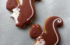 Eichhörnchen-Plätzchen-833x540.jpg