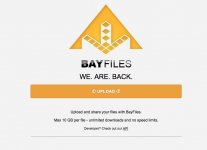BayFiles-Screenshot.jpg