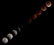 blood-moon-596784_960_720.jpg