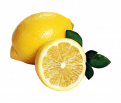 lemon-07.png