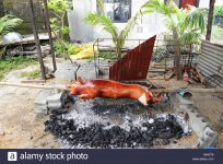braten-ein-ganzes-schwein-lechon-baboy-in-der-insel-mindoro-philippinen-h643t6.jpg