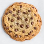 final-one-chocolate-chip-cookie+srgb..jpg