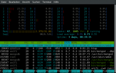 htop.png