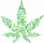 marijuana-2754247_640.png