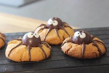 2014_10_28_sally_Erdnussbutterkekse_Schoko-Spinnen_01_1.jpg