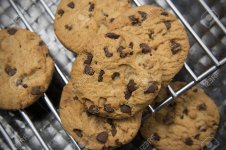 113659177-chocolate-chip-cookies-on-dark-background-choco-cookie-black-slate-board-isolated-.jpg