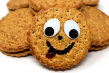 cookie-richtlinie-wordpress-plugins.jpg