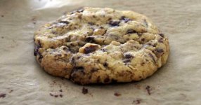 Vegane-Chocolate-Chip-Cookies-51acbc3c541a4.jpg