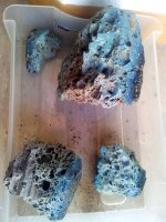 20130807_110554.jpg