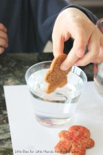Dissolving-gingerbread-man-science-activity-adding-cookie.jpg