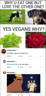 Unbenannt.PNG