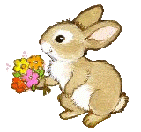 hase-0210.gif