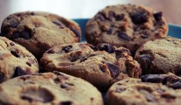 cookies-chocolate-chip-cookies-baking-food-cookie-baked-goods-1453093-pxhere.com_-1024x596.jpg