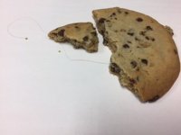 cookie-with-hair.jpg