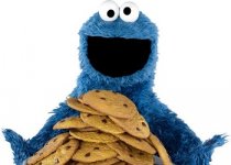 cookie-monster1.jpg