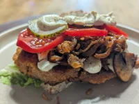 PXL_20260331_103946732.PORTRAIT 1.webp