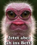 bett.webp