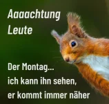 orschwerbleede.webp