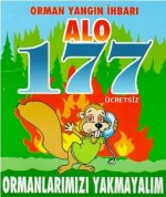 alo177.jpg