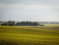 27092013_Nebel-4-700x540.jpg