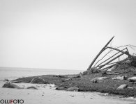 WilderStrand-700x540.jpg