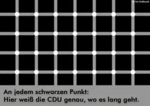 Schwarzer Punkt.JPG