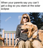 parents-say-cant-get-dog-so-stare-at-solar-eclipse-xixinxing-couchmastermemes-shutters.png