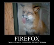 firefox.jpg