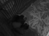 Bildschirmfoto 2013-10-19 um 17.31.57.png