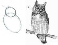 How_to_Draw_Owl.jpg