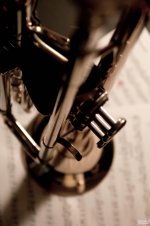 IMG_2461 bearbeitet LR.jpg