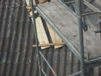 DSCF1479 (Medium).JPG